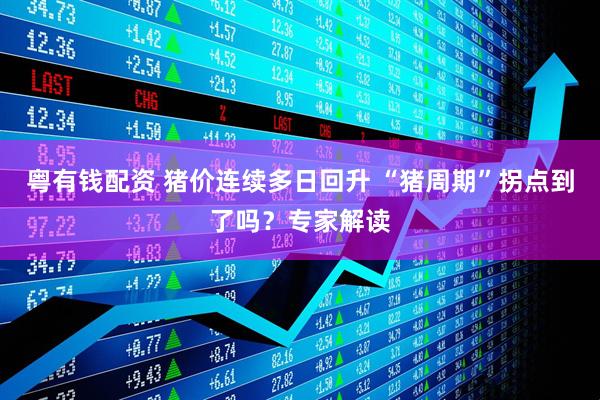 粤有钱配资 猪价连续多日回升 “猪周期”拐点到了吗？专家解读