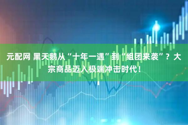元配网 黑天鹅从“十年一遇”到“组团来袭”？大宗商品迈入极端冲击时代！
