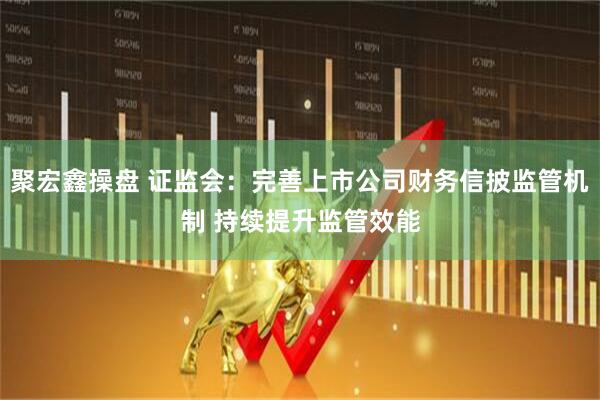 聚宏鑫操盘 证监会：完善上市公司财务信披监管机制 持续提升监管效能